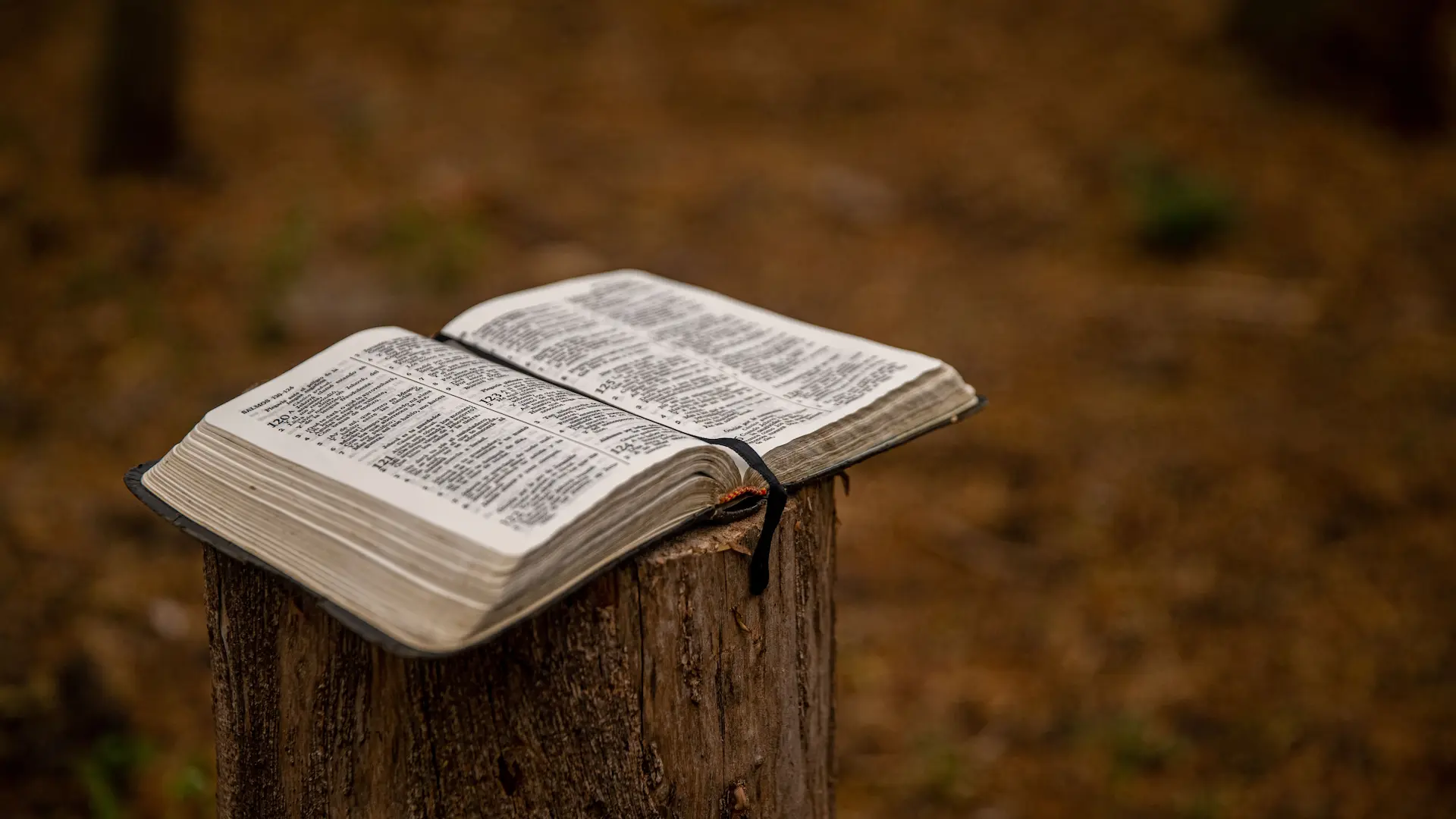 La Centralidad del Evangelio en toda la Escritura
